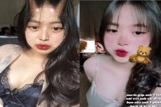 Tran mai thao uyen gosta de cães